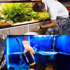 Aquarium Cleaning/Servicing