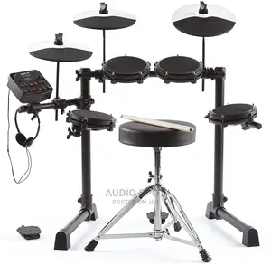 Alesis Electric Drums (Debut Kit)