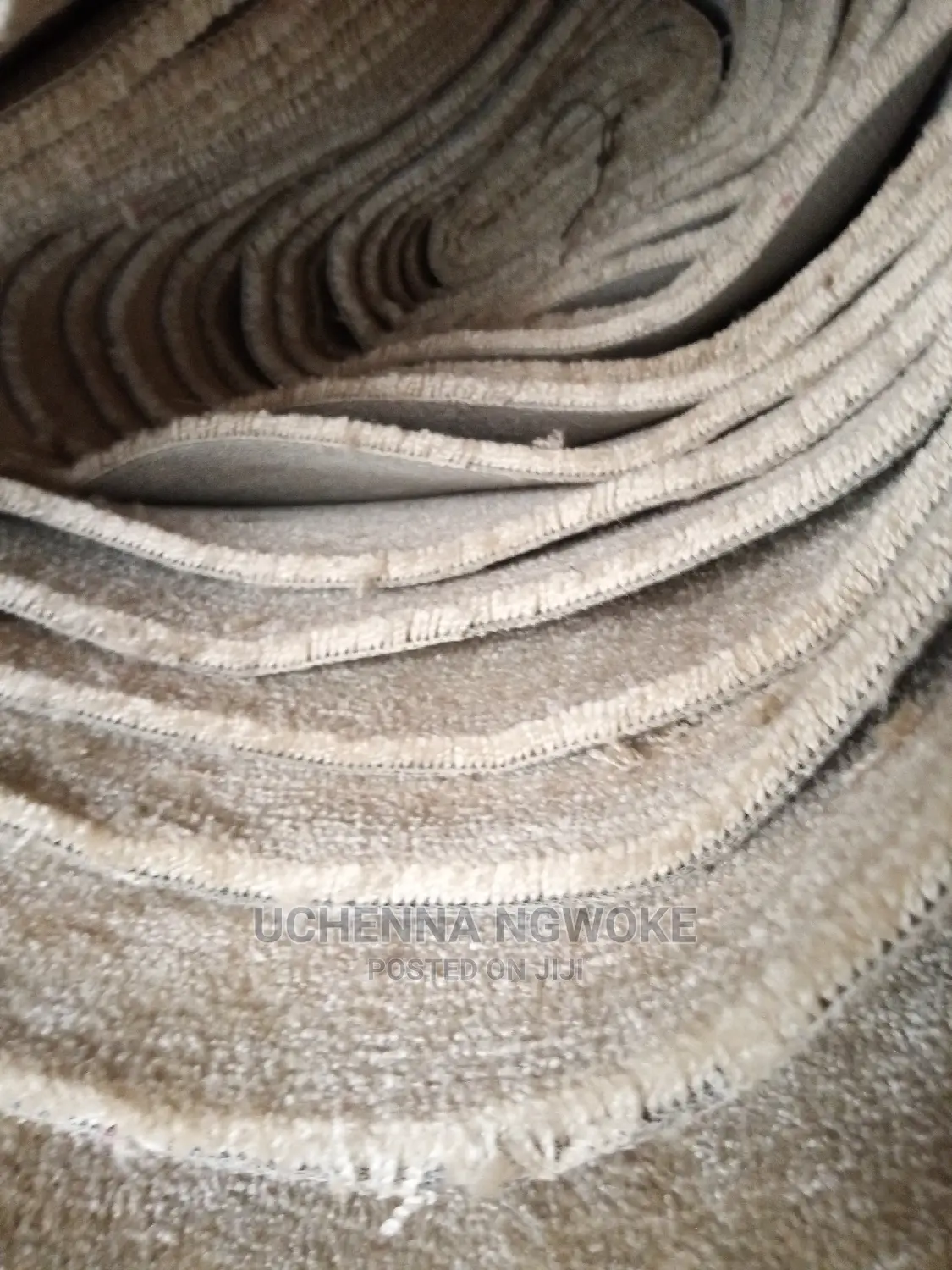 German Standard Vip Rug