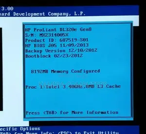 Server HP ProLiant DL 32GB Intel Xeon HDD 2T