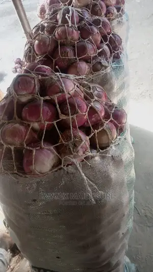 Fresh /Big Onions