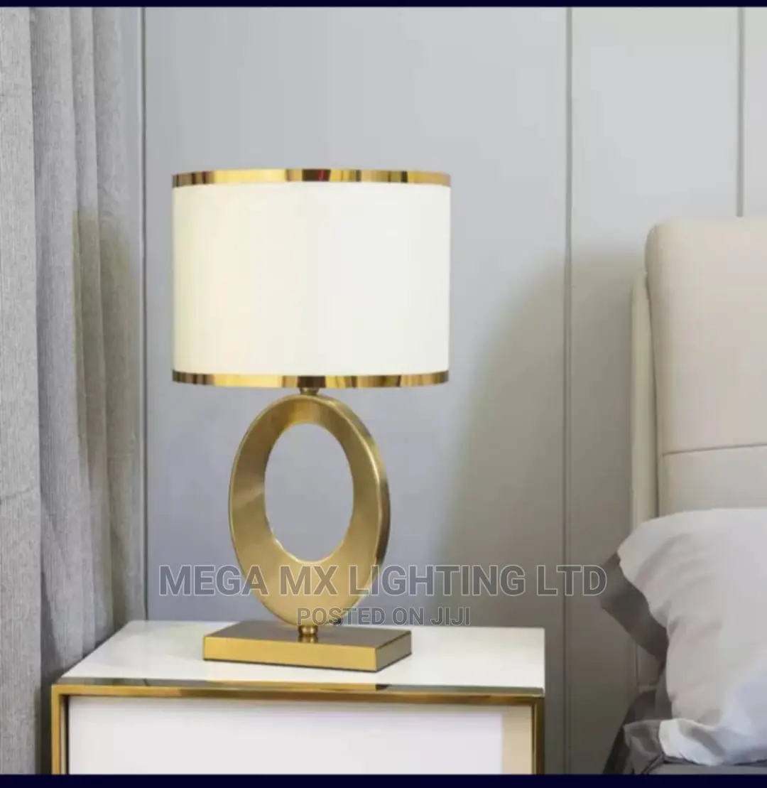 Luxury Steel Framed Unique Bedside Lamps/Light.