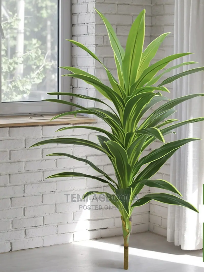 Artificial Plant in Lagos Island (Eko) Garden Supplies, Temi Agboola Jiji.ng