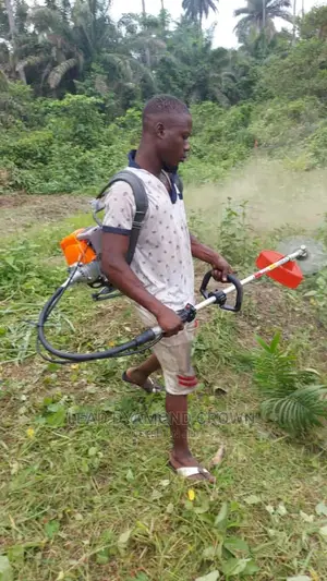 Rice Harvester Machine