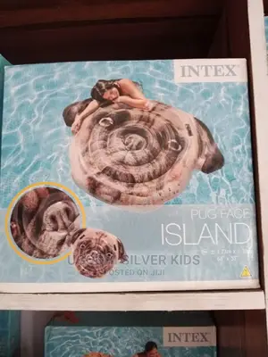 Swimming Flaoter Pug Face
