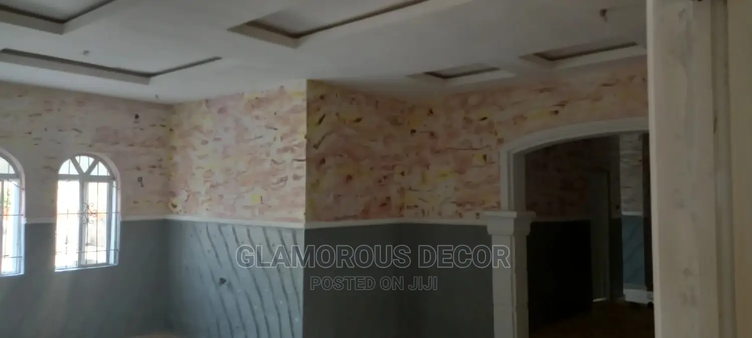 Proffesional House Paintings/Stuccoi