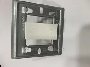 20A Switch 1 Module With Plate