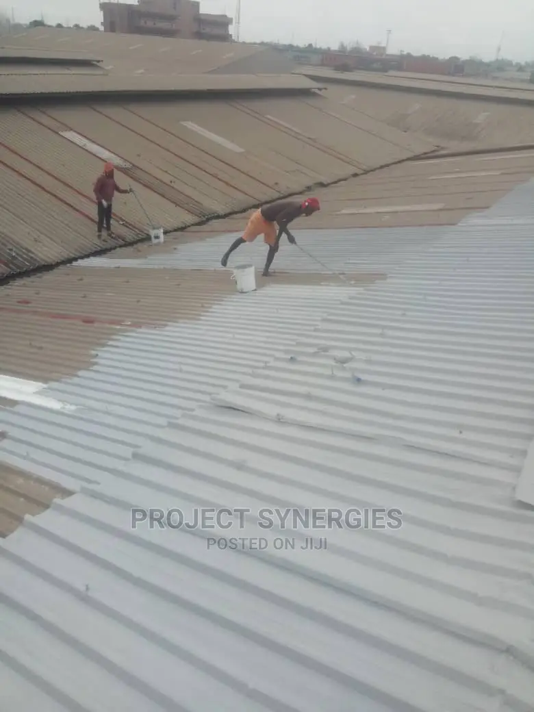 Waterseals Roof Coat Polymer