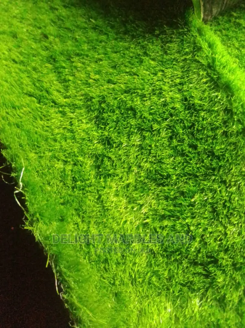 Decorative Flowers and Artificial Grass
