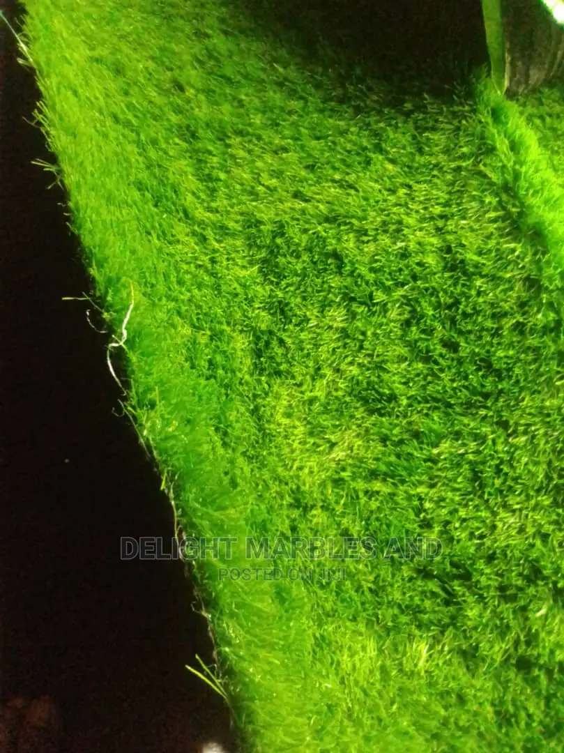 Decorative Flowers and Artificial Grass
