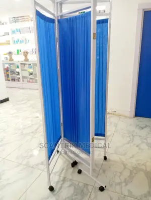 Screen 4 Fold With Blue Curtain