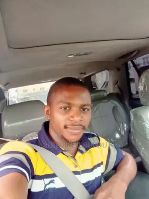Responsible, Experienced and Honest Driver