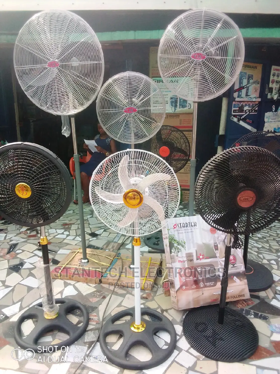 Ox Standing Fans