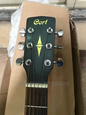 Cort Acoustic Guitar