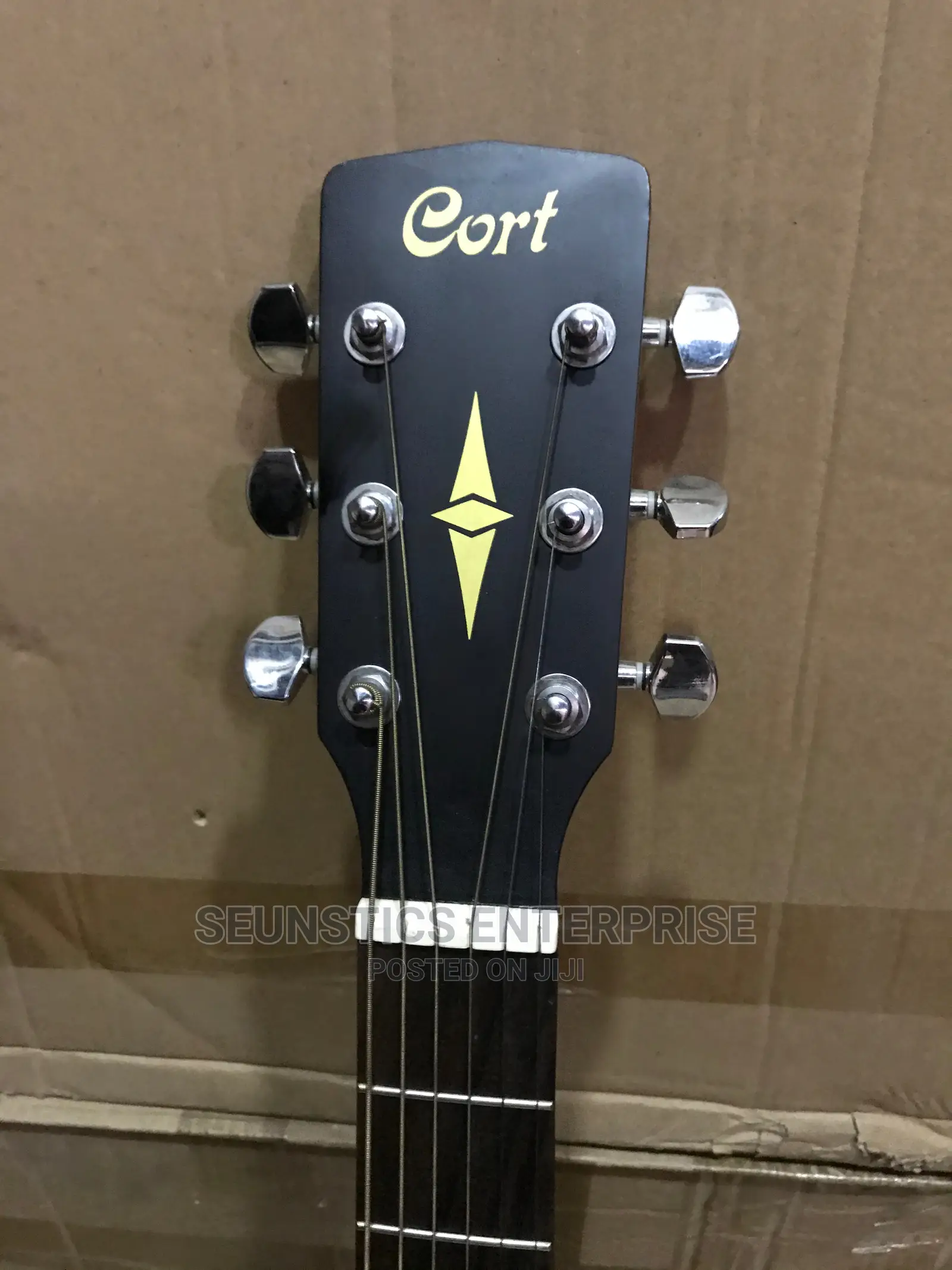 Cort Acoustic Guitar