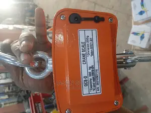 500kg Digital Hanging Crane Scale
