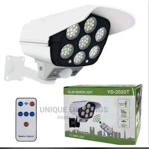 Solar Security Light