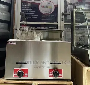 Commercial Deep Fryer Gas