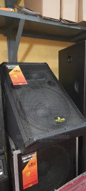 Quality Stage Monitor Speaker