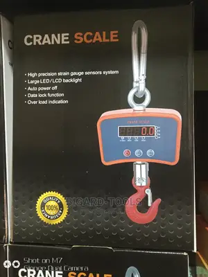 500kg Hanging Scale