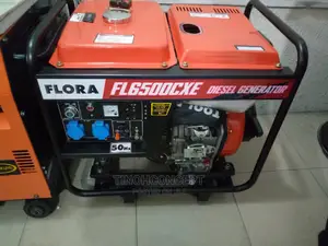 Flora Generator 5.5 KVA Desiel Generator