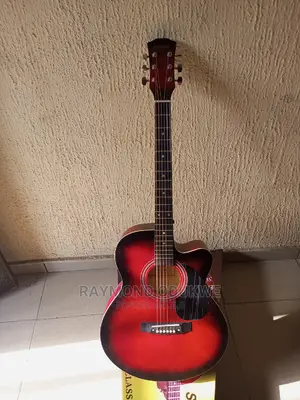 Professional Standard Electric Acoustic Guitar