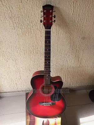Professional Standard Electric Acoustic Guitar