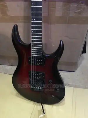 Professional Washburn Lead Guitar