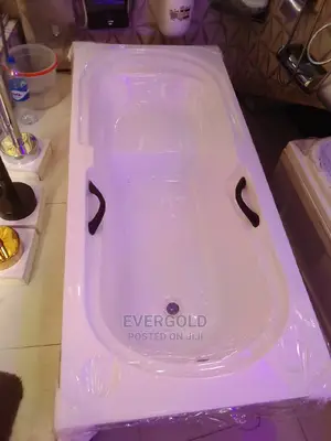 Bath With Panel