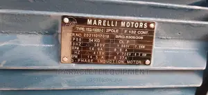 Marelli Induction Motor
