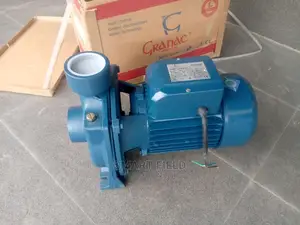 Surface Water Pump