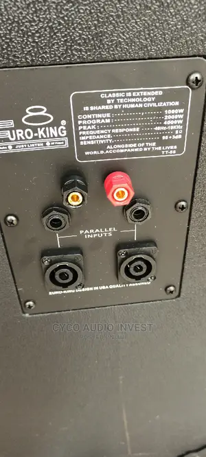 Original EURO KING Full Range Double Speaker