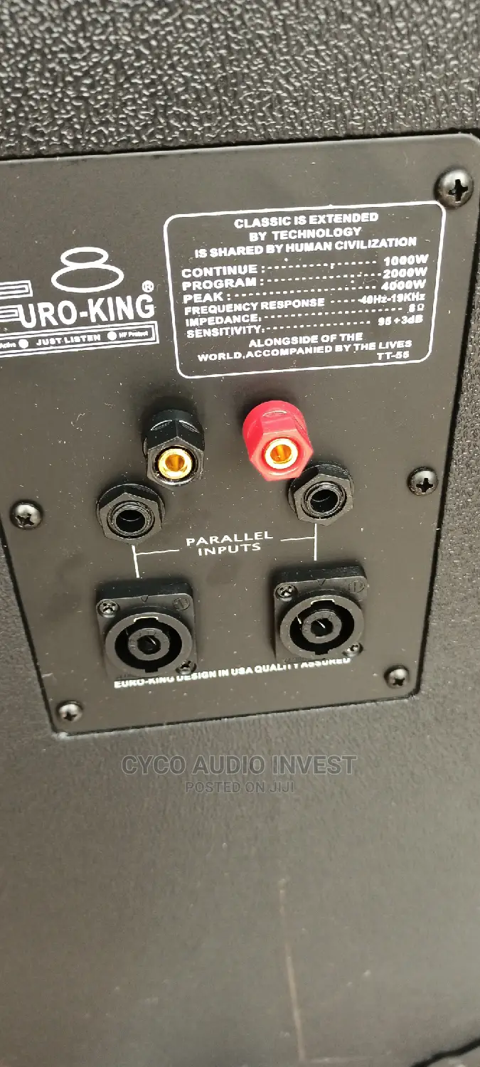 Original EURO KING Full Range Double Speaker