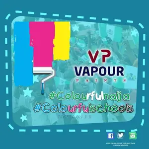 Vapour Paint Chrome