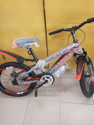 20 Inche Bike