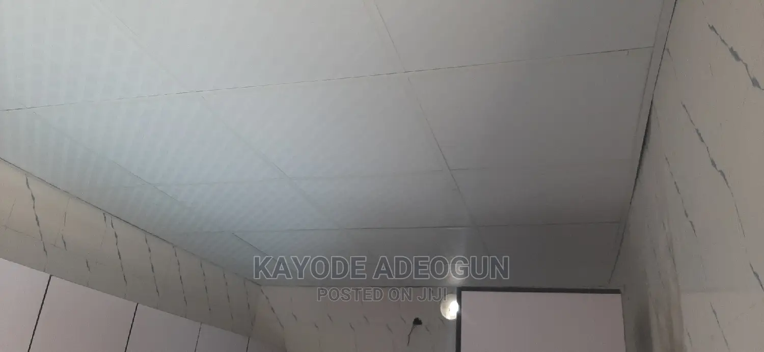 Suspended Ceiling
