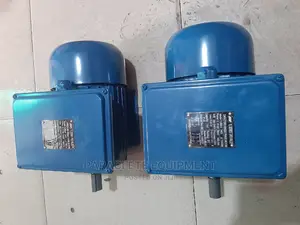 Marelli Single Phase Induction Electric Motor