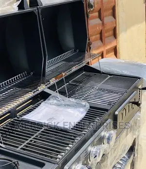 Charcoal and Gas BBQ Grill