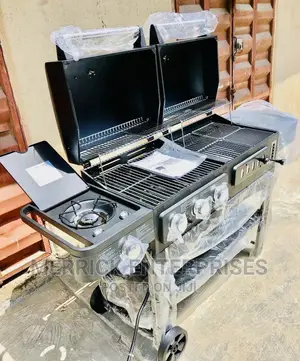 Gas Charcoal Barbecue Grill 2022