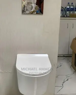 White Wall Hanging Water Closet