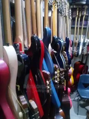 Professional Electric and Bass Guitars
