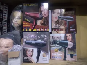 Electric Saloon Hair Dryer