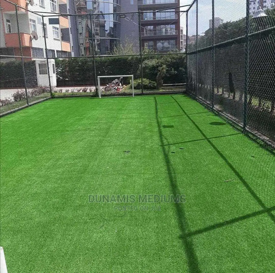 Carpet Grass