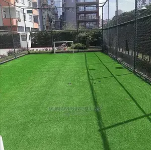 Carpet Grass
