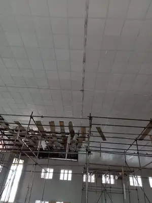 Drop Suspended Ceiling Tiles