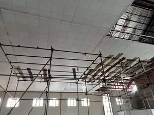 Drop Suspended Ceiling Tiles