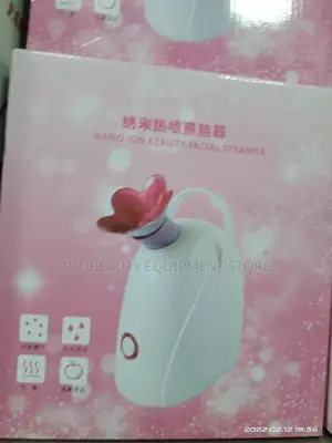 Table Facial Steamer