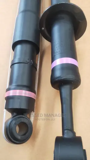 Back Shock for Gx470 Gx460