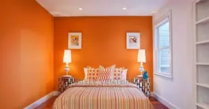 Professionals House Paintings