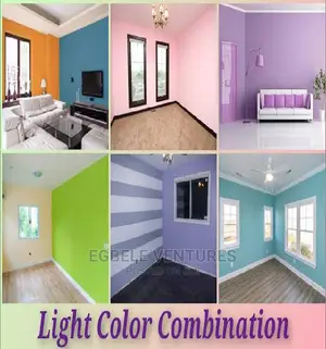 Professionals House Paintings